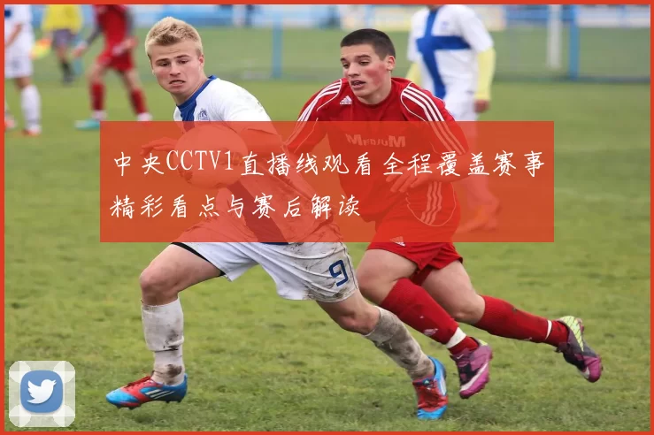 中央CCTV1直播线观看全程覆盖赛事精彩看点与赛后解读