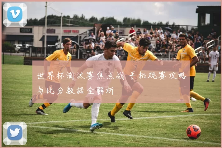 世界杯淘汰赛焦点战 手机观赛攻略与比分数据全解析