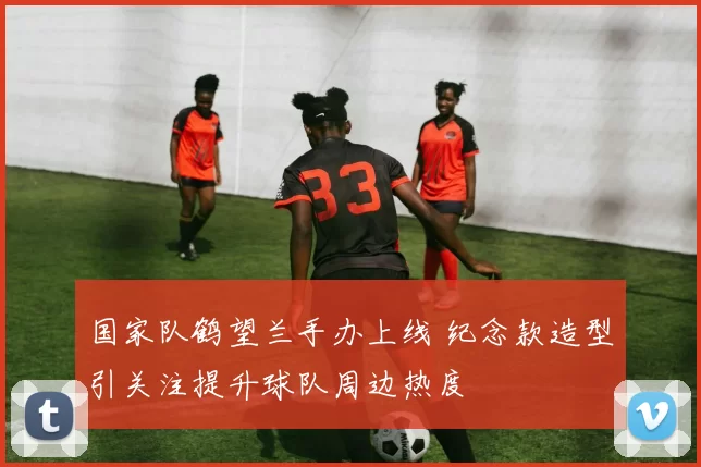 国家队鹤望兰手办上线 纪念款造型引关注提升球队周边热度