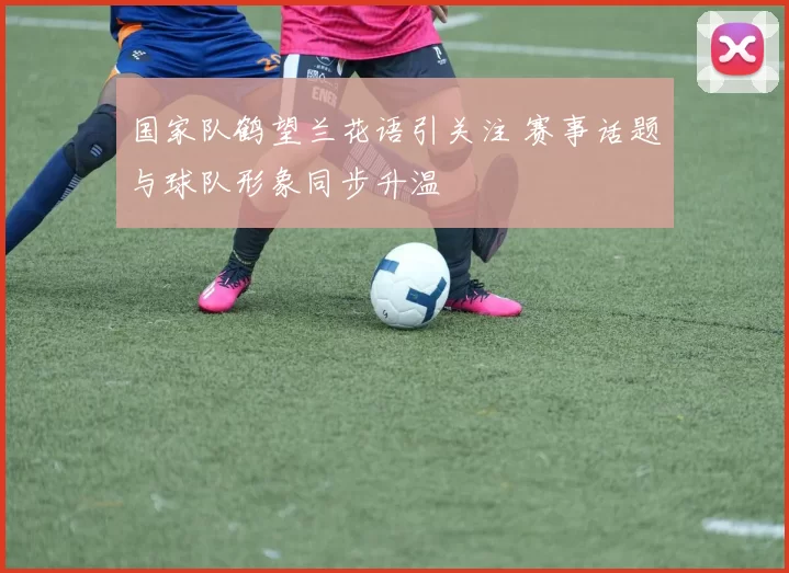 国家队鹤望兰花语引关注 赛事话题与球队形象同步升温