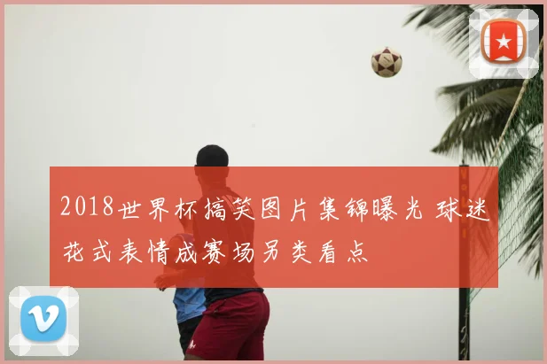 2018世界杯搞笑图片集锦曝光 球迷花式表情成赛场另类看点