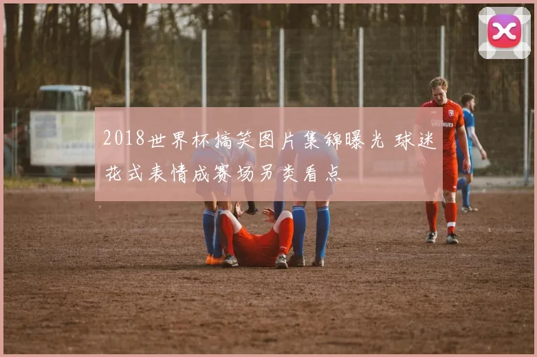 2018世界杯搞笑图片集锦曝光 球迷花式表情成赛场另类看点