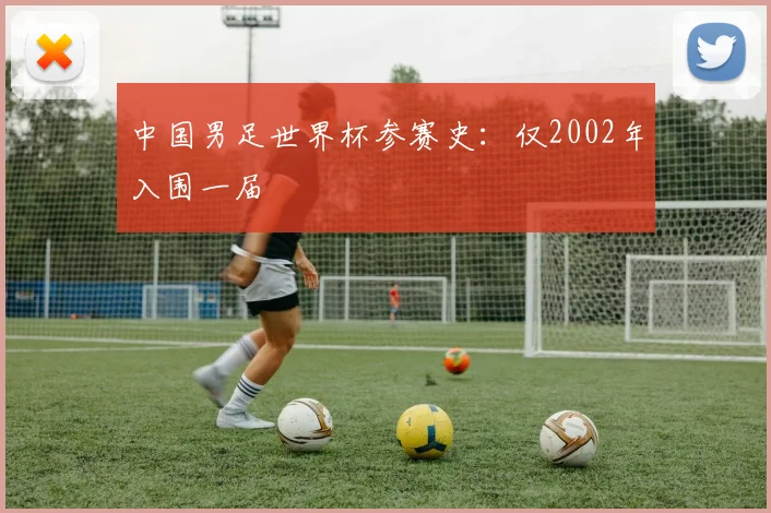 中国男足世界杯参赛史：仅2002年入围一届
