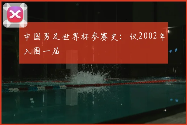 中国男足世界杯参赛史：仅2002年入围一届