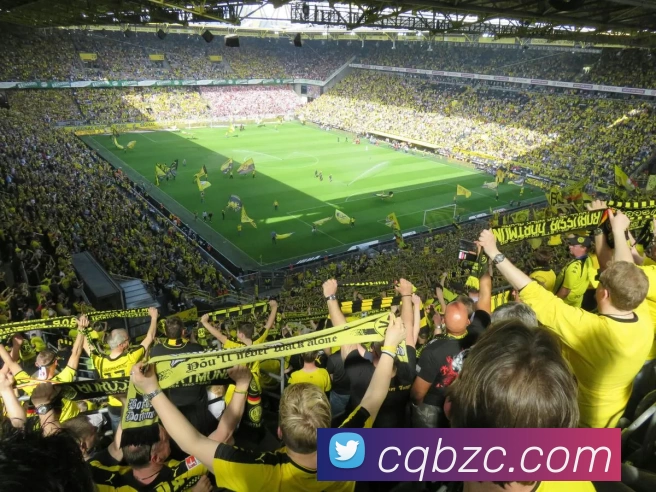 开云官方端页面登录入口 - 开云(中国)平台生态图